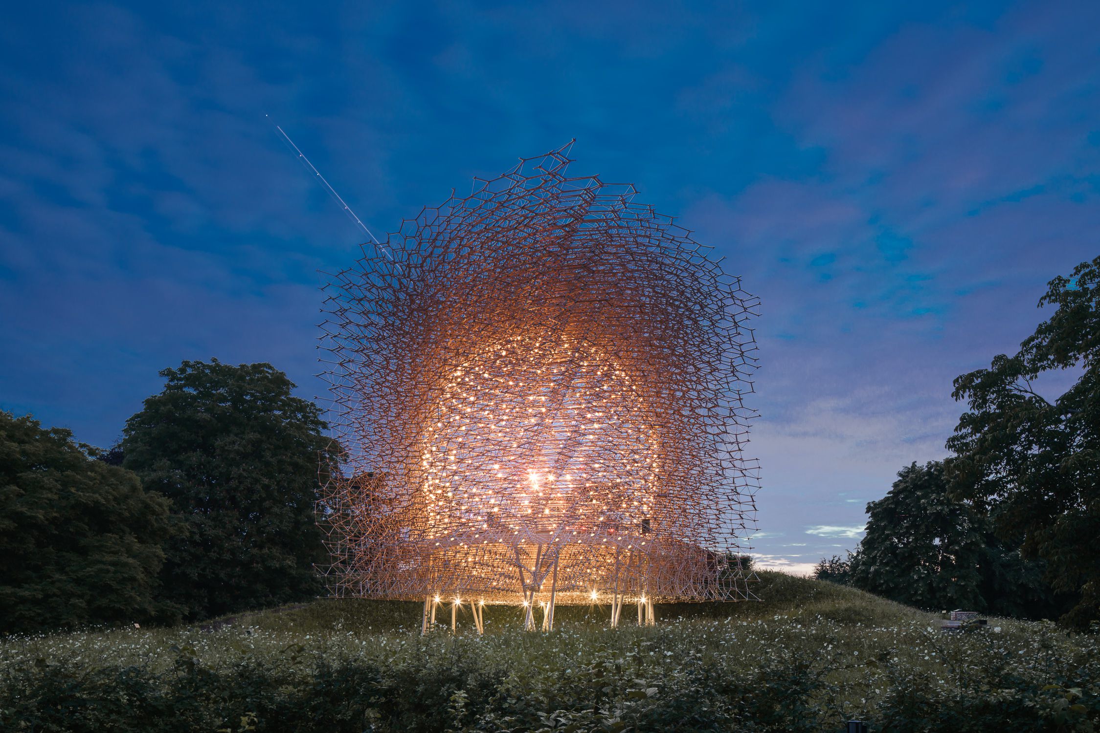 丘园（英国皇家植物园）Kew Royal Botanic Gardens|摄影|风光摄影|秋千上的树叶 - 原创作品 - 站酷 (ZCOOL)